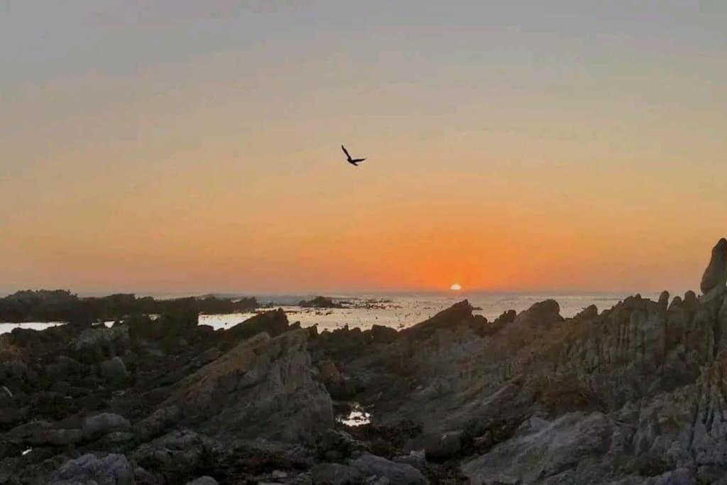 Hermanus Sea View Room ภายนอก รูปภาพ